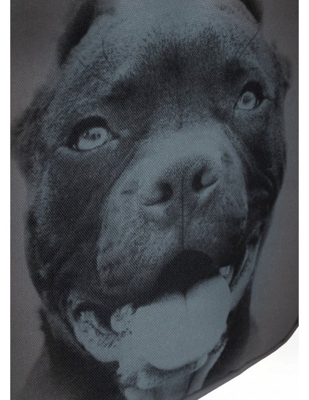 Plecak szkolny  PIT BULL West Coast miejski 28L