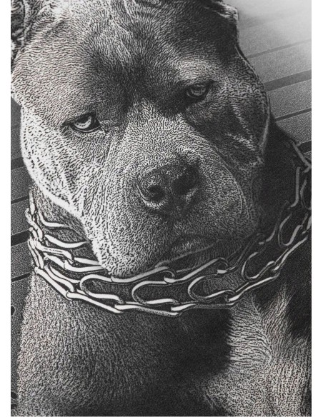 Koszulka męska PIT BULL MUGSHOT