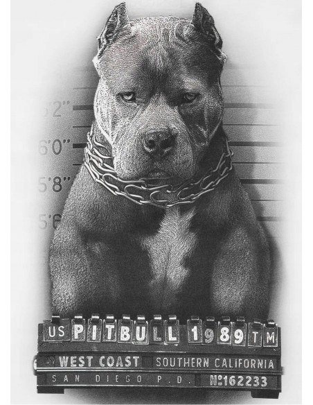 Koszulka męska PIT BULL MUGSHOT