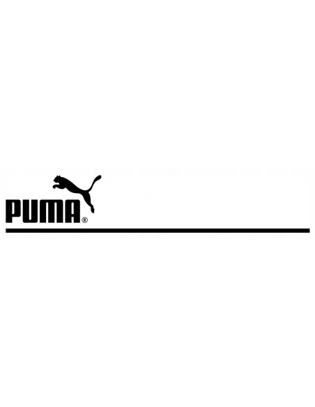 Bluza damska z kapturem kangurka PUMA LOGO 586789 69