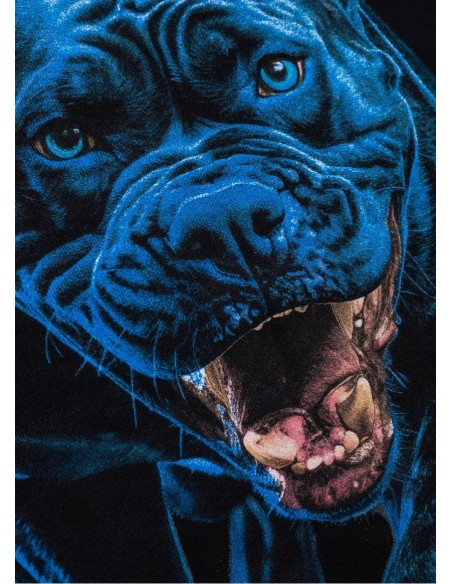 Bluza męska z kapturem PIT BULL IN BLUE czarna