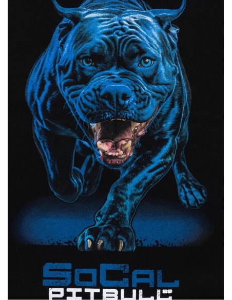 Bluza męska z kapturem PIT BULL IN BLUE czarna