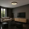 LAMPA do domu salonu PLAFON oprawa sufitowa oświetlenie VIDEX 72W LED 45cm
