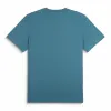 Koszulka męska T-SHIRT PUMA z krótkim rękawem bawełniana 684717-41 S