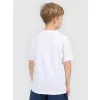 Koszulka dziecięca juniorska chłopięca TSHIRT 4F sportowa TTSHM2330 164