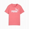 Koszulka dziecięca juniorska T-SHIRT PUMA z krótkim rękawem bawełniana 128