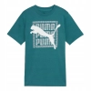 Koszulka dziecięca juniorska T-SHIRT PUMA z krótkim rękawem bawełniana 140