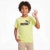 Tshirt PUMA ESS NO. 1 LOGO TEE 684906-66 olive 152