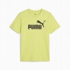 Tshirt PUMA ESS NO. 1 LOGO TEE 684906-66 olive 152